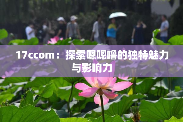 17ccom：探索嗯嗯噜的独特魅力与影响力