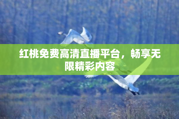 红桃免费高清直播平台，畅享无限精彩内容