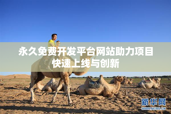 永久免费开发平台网站助力项目快速上线与创新