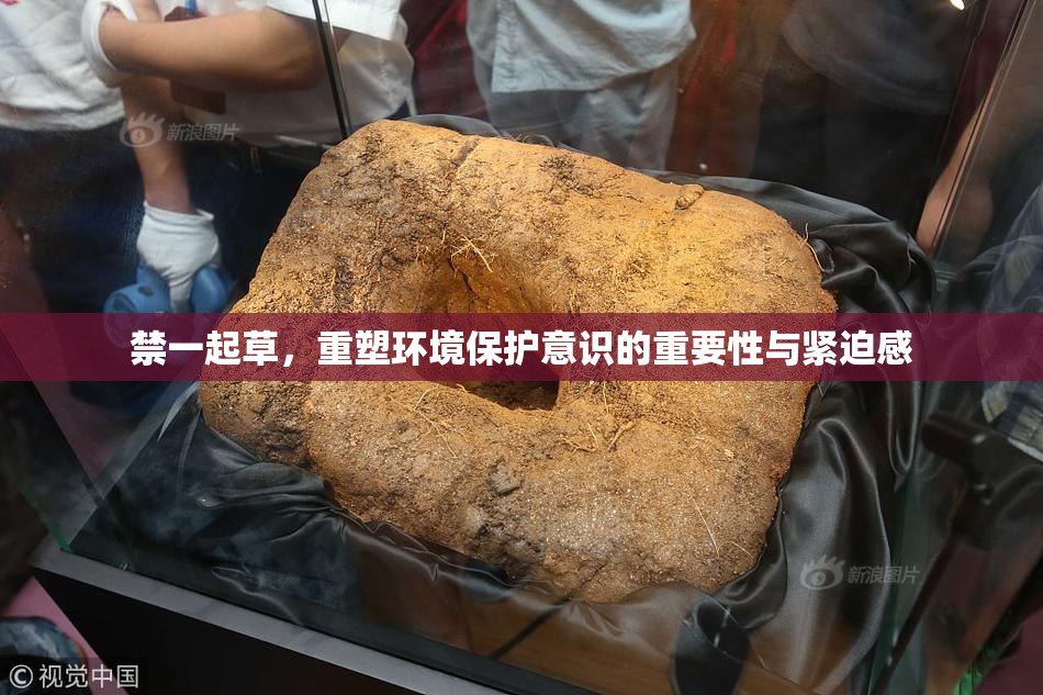 禁一起草，重塑环境保护意识的重要性与紧迫感