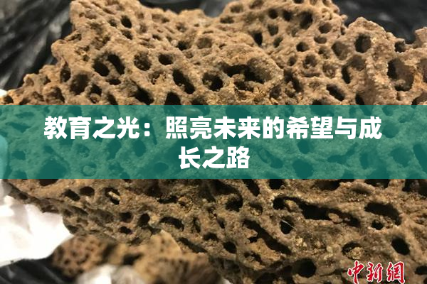 教育之光：照亮未来的希望与成长之路