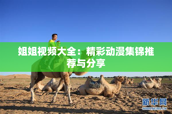 姐姐视频大全：精彩动漫集锦推荐与分享