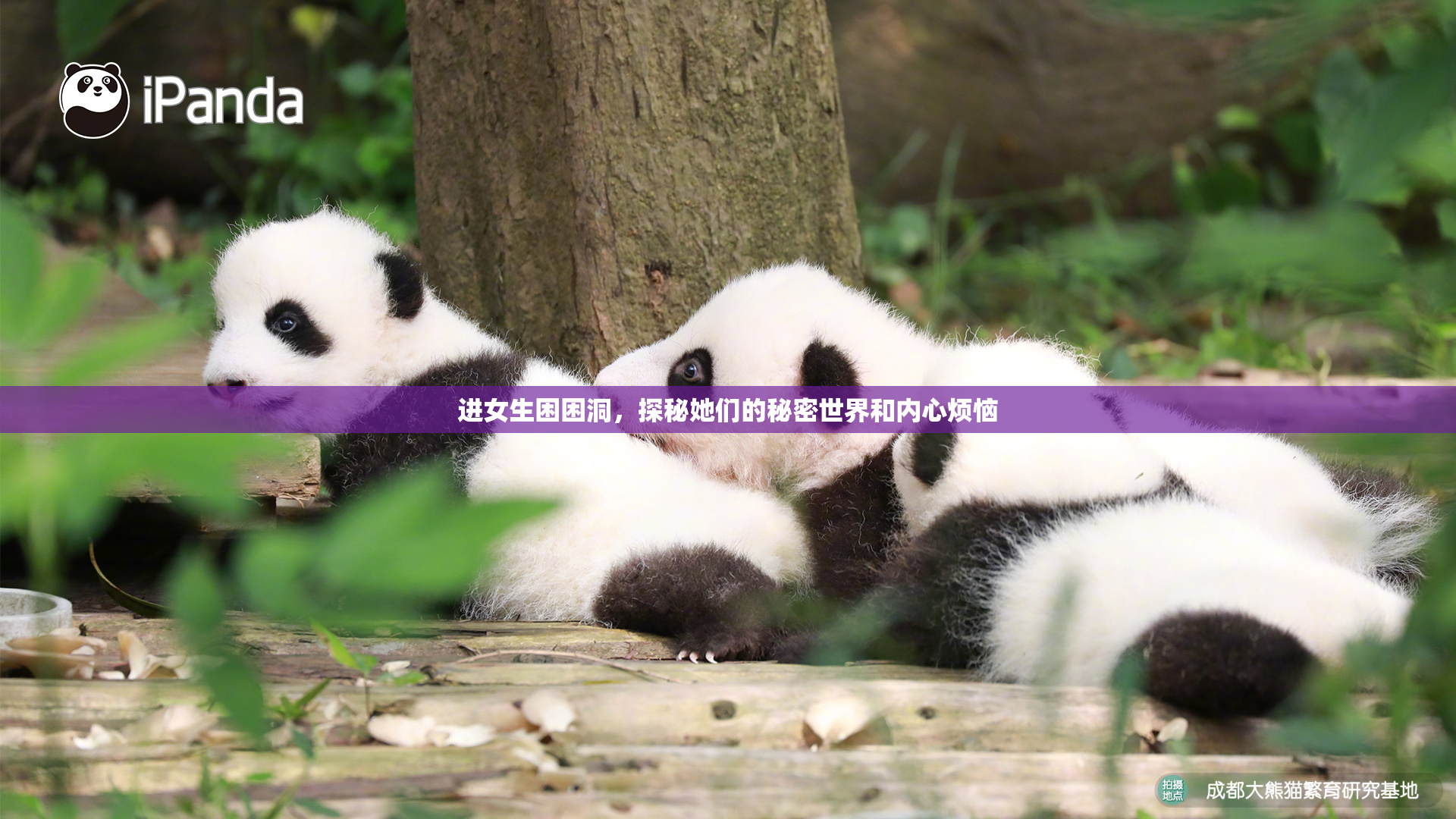 进女生困困洞，探秘她们的秘密世界和内心烦恼