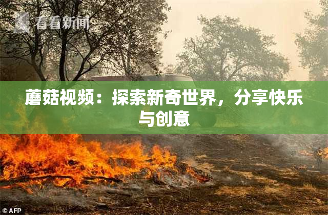 蘑菇视频：探索新奇世界，分享快乐与创意