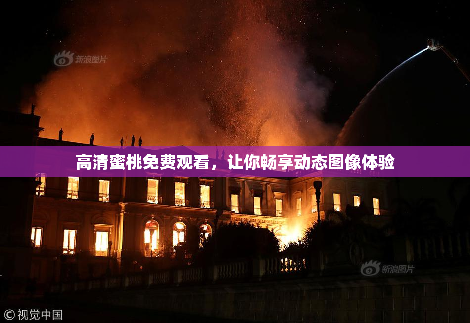 高清蜜桃免费观看，让你畅享动态图像体验