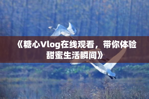 《糖心Vlog在线观看，带你体验甜蜜生活瞬间》