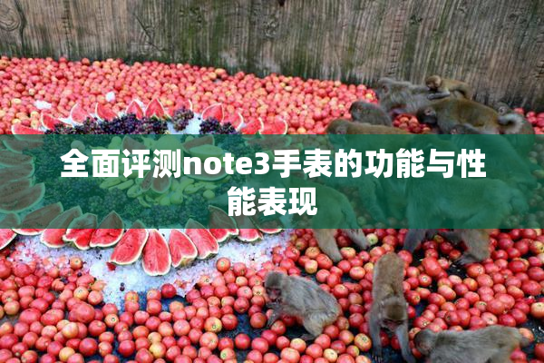 全面评测note3手表的功能与性能表现