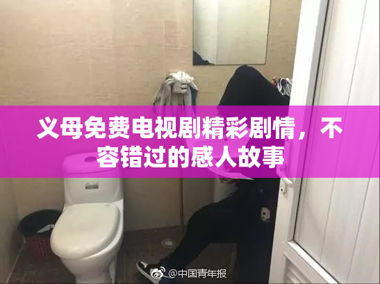 义母免费电视剧精彩剧情，不容错过的感人故事