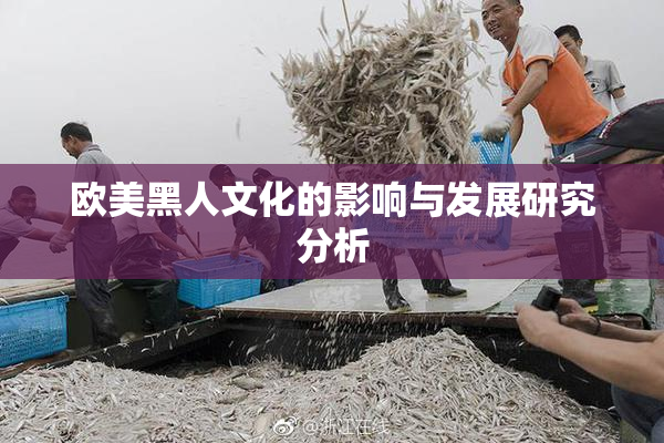 欧美黑人文化的影响与发展研究分析