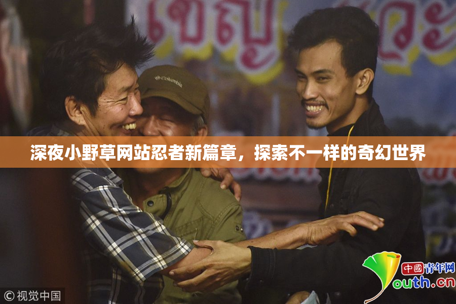 深夜小野草网站忍者新篇章，探索不一样的奇幻世界