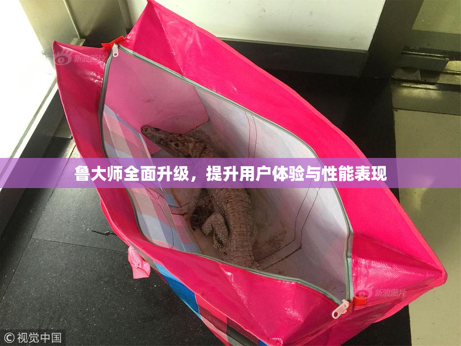 鲁大师全面升级，提升用户体验与性能表现