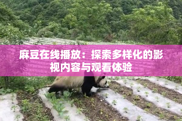 麻豆在线播放：探索多样化的影视内容与观看体验