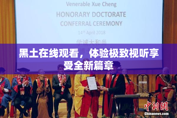 黑土在线观看，体验极致视听享受全新篇章