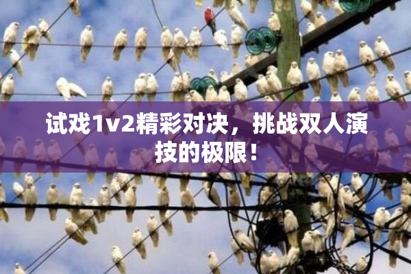 试戏1v2精彩对决，挑战双人演技的极限！