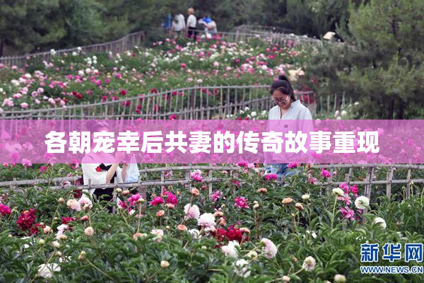 各朝宠幸后共妻的传奇故事重现