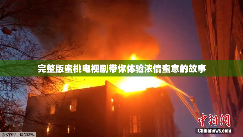 完整版蜜桃电视剧带你体验浓情蜜意的故事