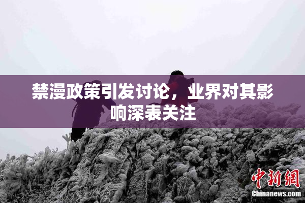 禁漫政策引发讨论，业界对其影响深表关注