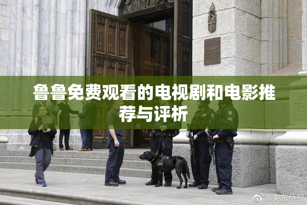 鲁鲁免费观看的电视剧和电影推荐与评析