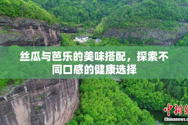 丝瓜与芭乐的美味搭配，探索不同口感的健康选择