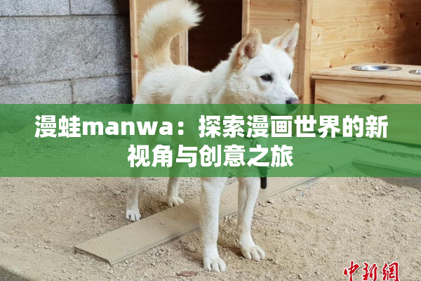 漫蛙manwa：探索漫画世界的新视角与创意之旅