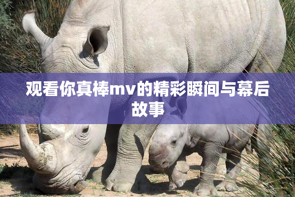 观看你真棒mv的精彩瞬间与幕后故事