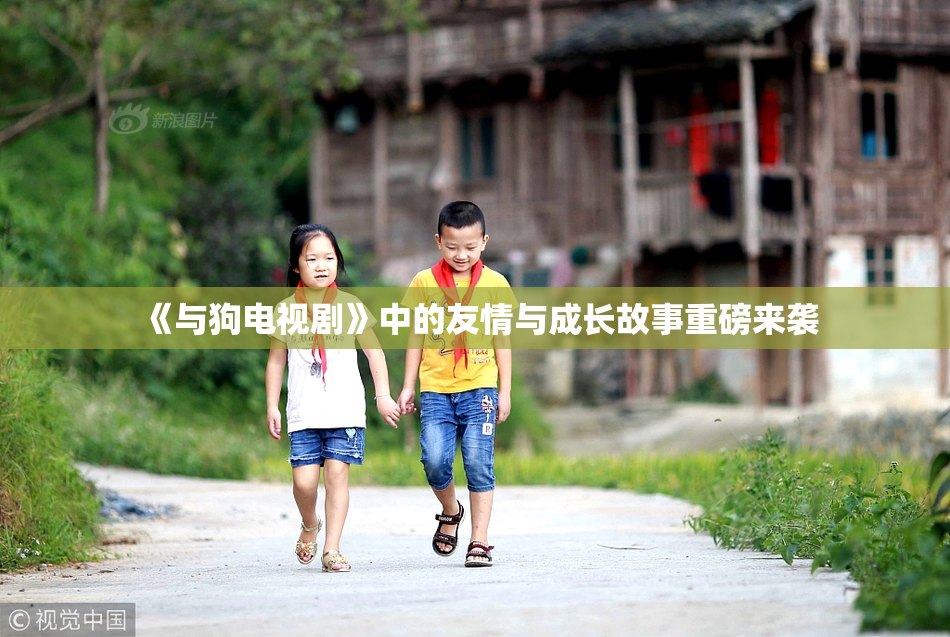 《与狗电视剧》中的友情与成长故事重磅来袭