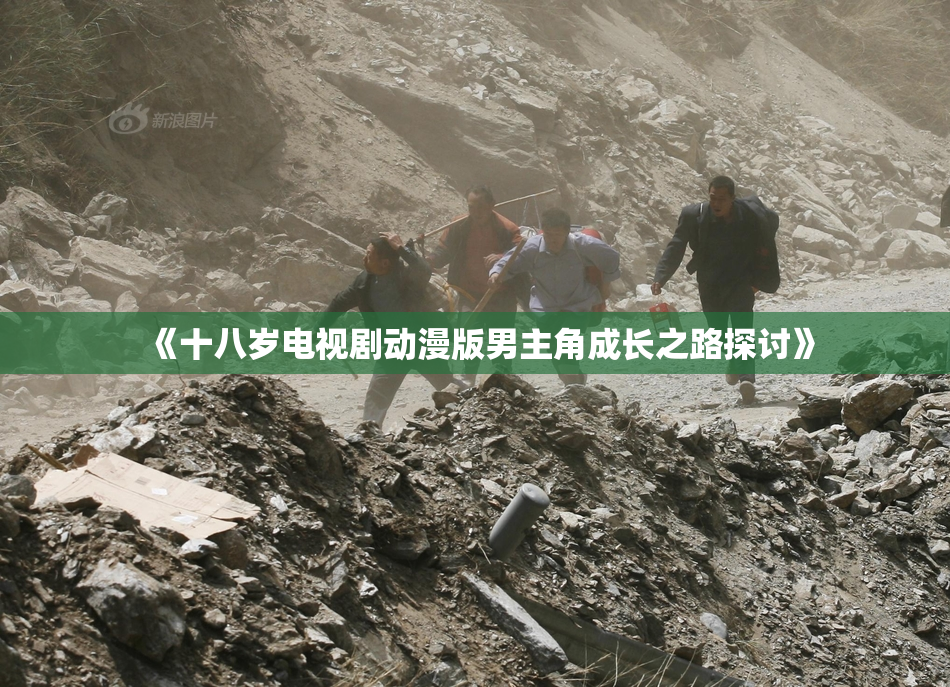《十八岁电视剧动漫版男主角成长之路探讨》