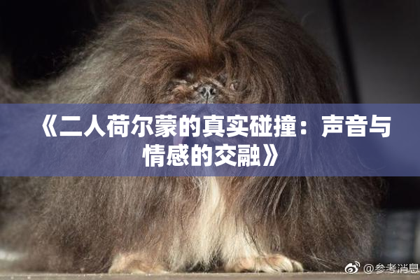 《二人荷尔蒙的真实碰撞：声音与情感的交融》