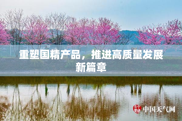重塑国精产品，推进高质量发展新篇章