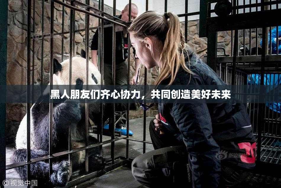 黑人朋友们齐心协力，共同创造美好未来