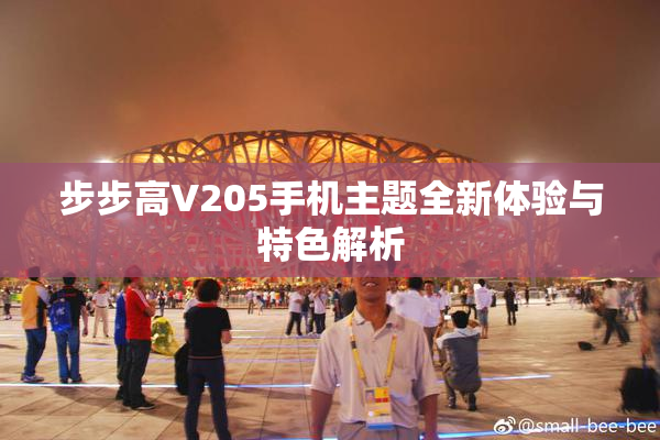 步步高V205手机主题全新体验与特色解析