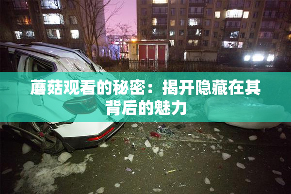 蘑菇观看的秘密：揭开隐藏在其背后的魅力