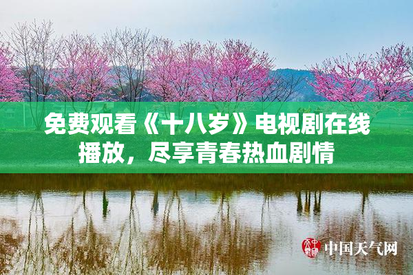 免费观看《十八岁》电视剧在线播放，尽享青春热血剧情