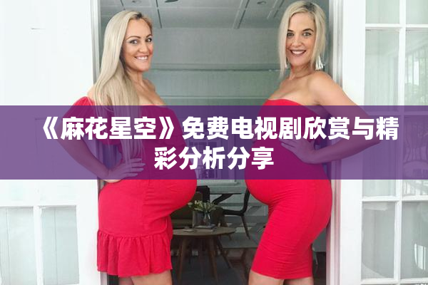 《麻花星空》免费电视剧欣赏与精彩分析分享