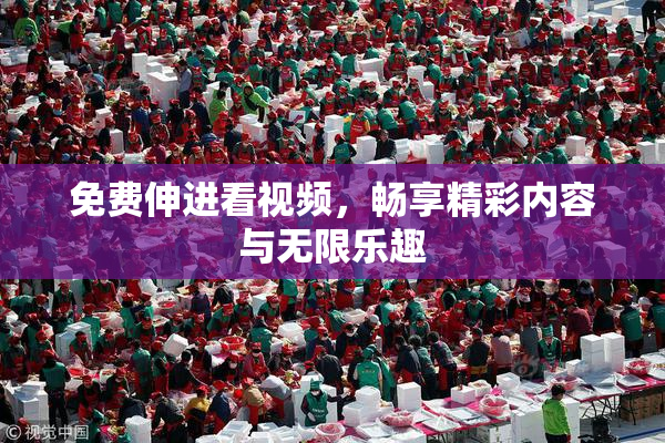 免费伸进看视频，畅享精彩内容与无限乐趣