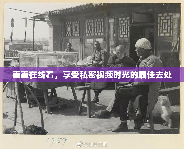 羞羞在线看，享受私密视频时光的最佳去处