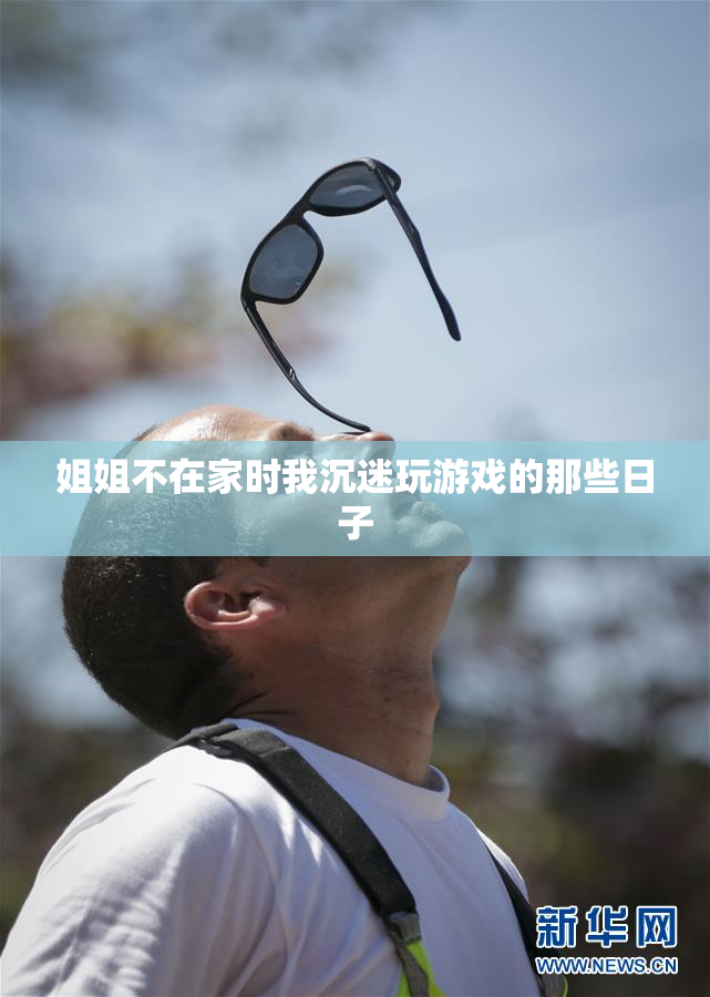 姐姐不在家时我沉迷玩游戏的那些日子