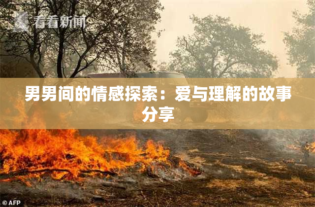 男男间的情感探索：爱与理解的故事分享