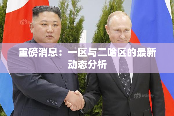 重磅消息：一区与二哈区的最新动态分析