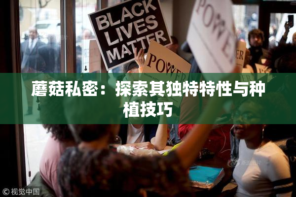 蘑菇私密：探索其独特特性与种植技巧