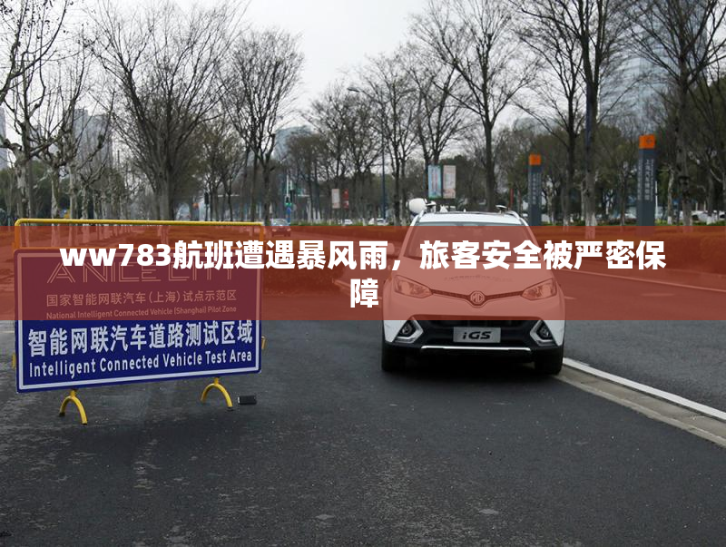 ww783航班遭遇暴风雨，旅客安全被严密保障