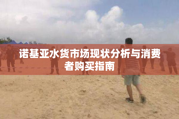 诺基亚水货市场现状分析与消费者购买指南