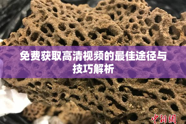 免费获取高清视频的最佳途径与技巧解析