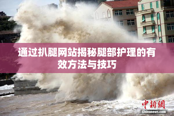 通过扒腿网站揭秘腿部护理的有效方法与技巧