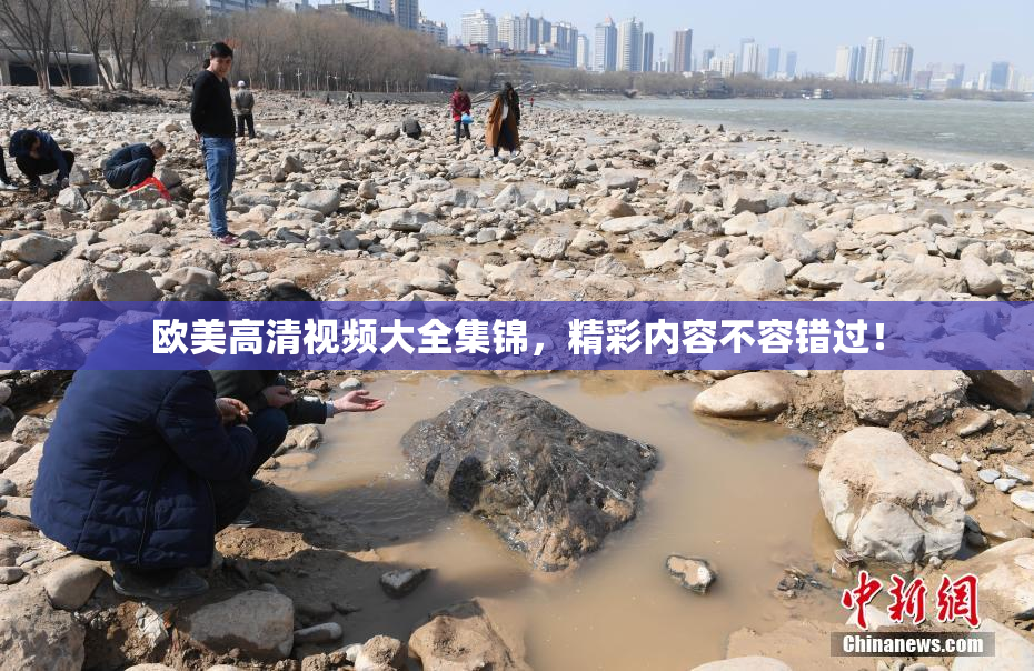 欧美高清视频大全集锦，精彩内容不容错过！