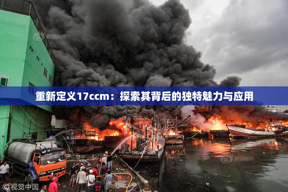 重新定义17ccm：探索其背后的独特魅力与应用
