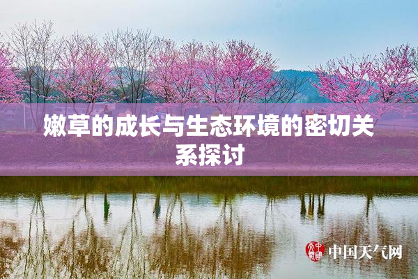 嫩草的成长与生态环境的密切关系探讨