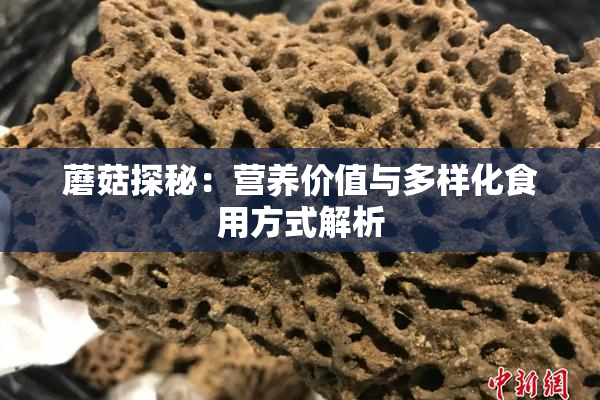 蘑菇探秘：营养价值与多样化食用方式解析