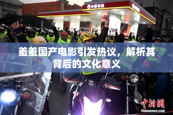 羞羞国产电影引发热议，解析其背后的文化意义