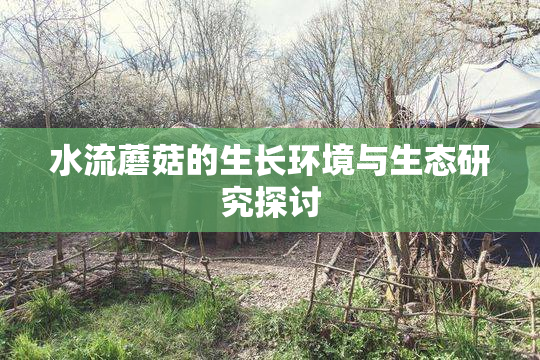 水流蘑菇的生长环境与生态研究探讨